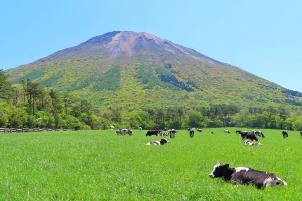 身体を動かして深呼吸。鳥取・島根で楽しむ自然体験 〜山と川編〜 イメージ